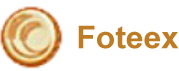 Foteex Learning Hub